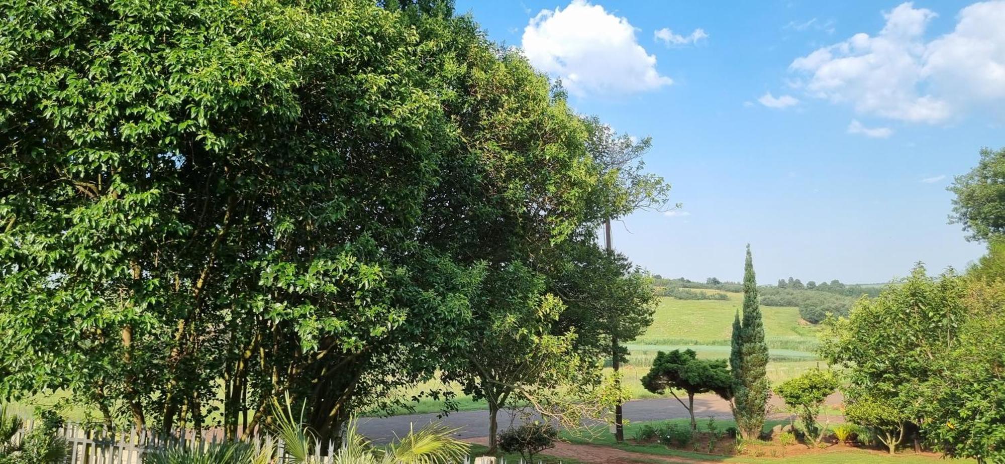 Rand Self-Catering Accommodation Carolina 外观 照片